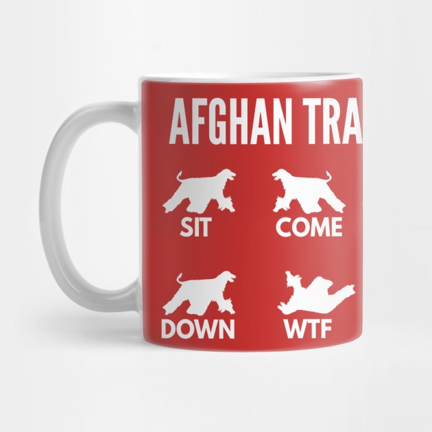 Afghan Hound Training Boxer Dog Tricks by DoggyStyles